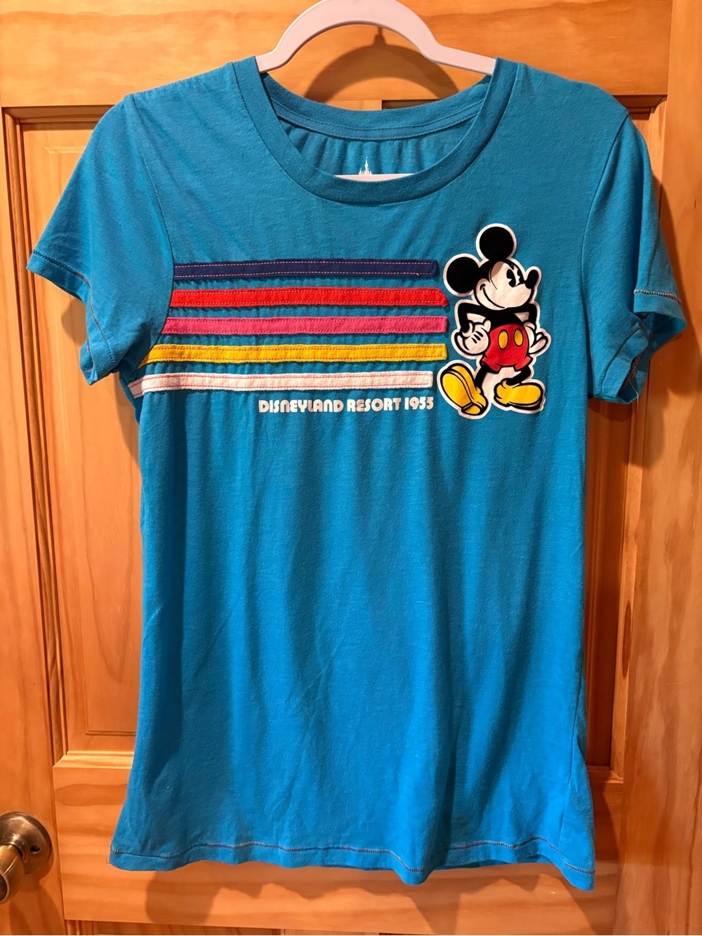 Disney Parks vintage-style retro stripe graphic t-shirt women’s L multi color